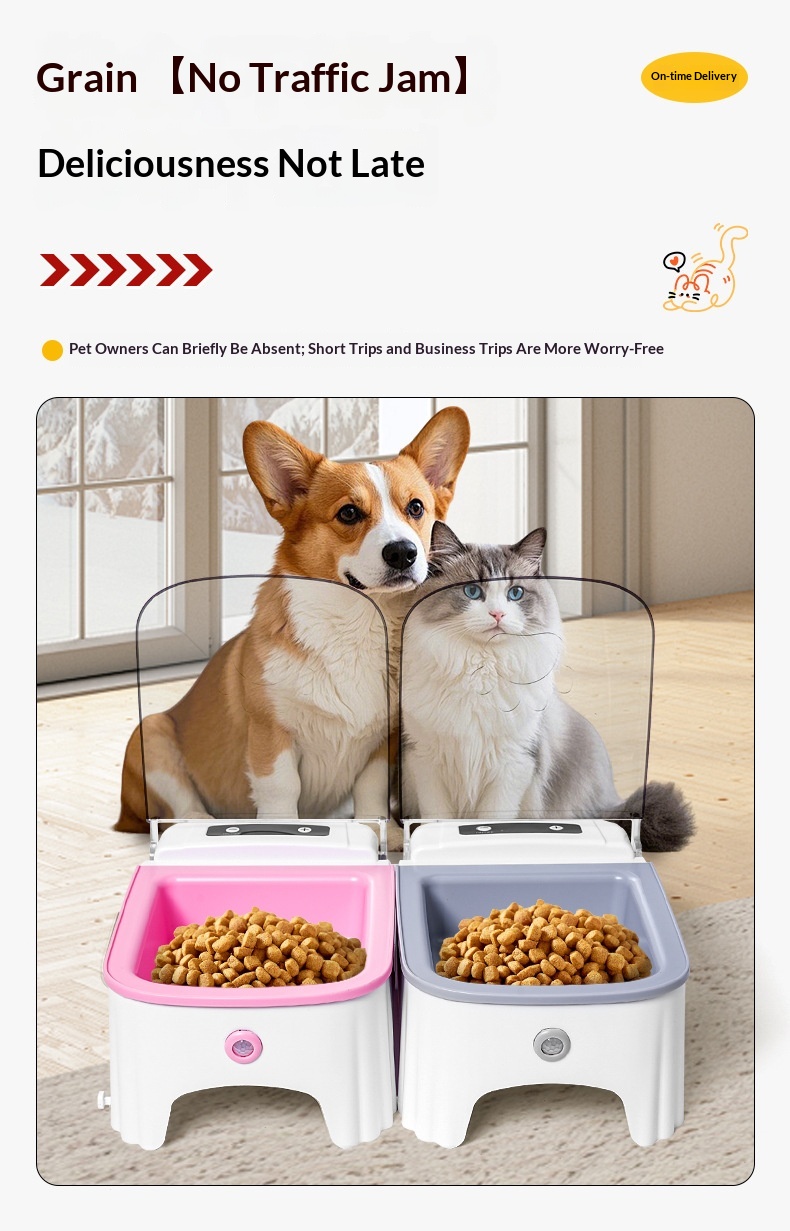 Cat Automatic Feeding Device photo 4