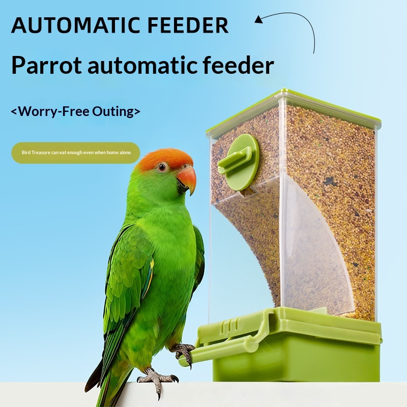 Automatic Bird Feeder photo 7