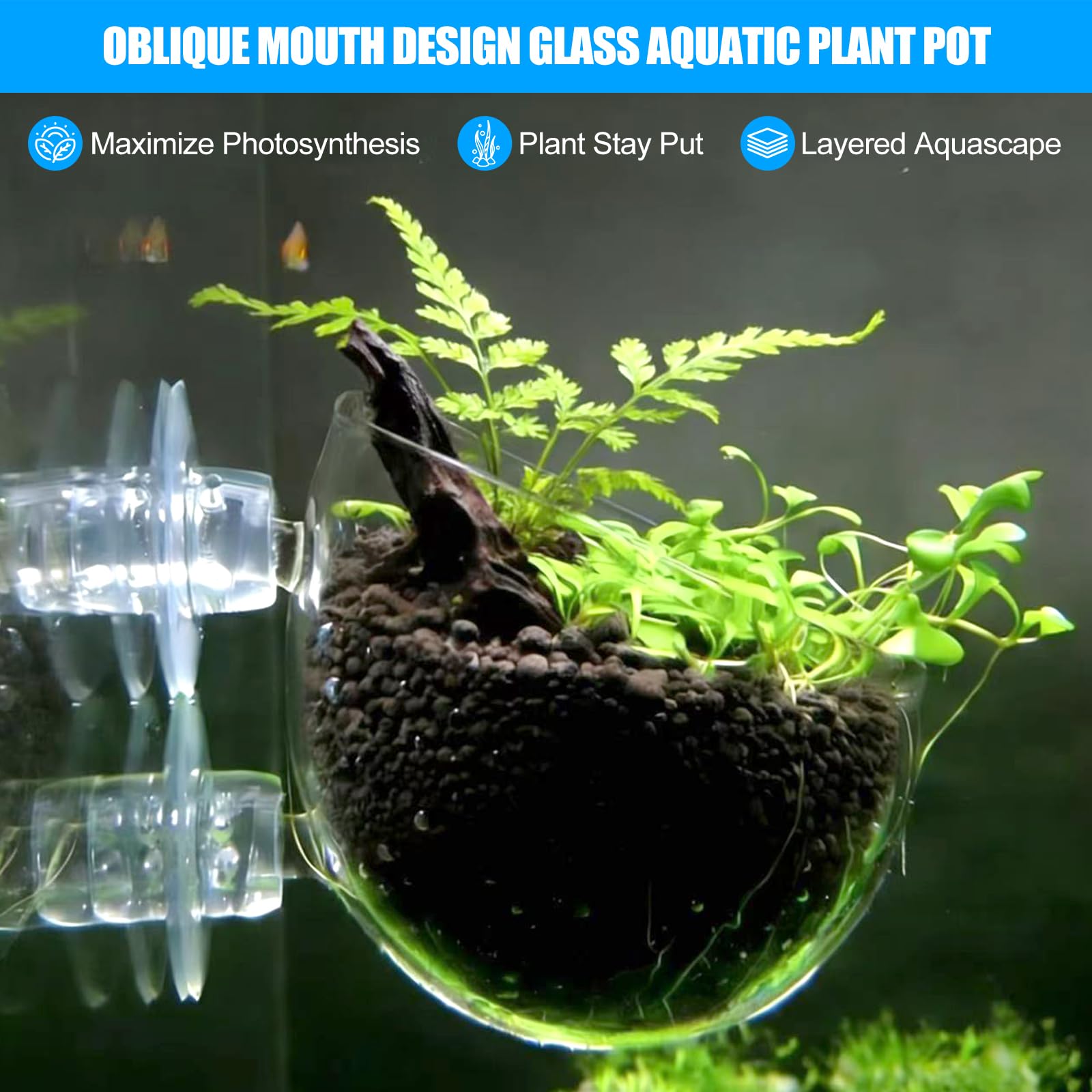 Glass Aquarium Plant Pot For Decoration, Aquatic Plant Pot Cup With Suction Cup, Betta Resting Bed Spot, Aquarium Planter Landscaping Decor Cup With Colorful And Clear Stones photo 5