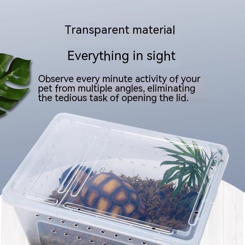 Silkworm Feeding Pet Box Turtle Jar photo 2