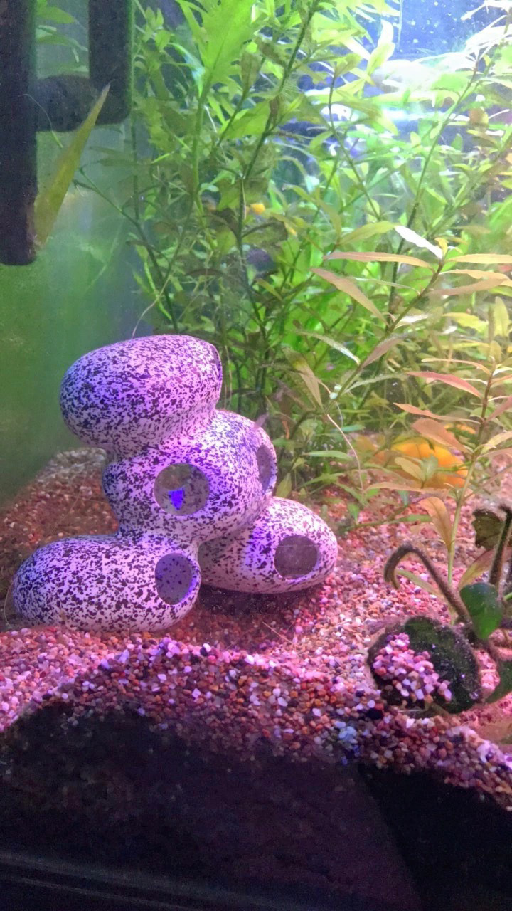 Fish Tank Stone View Decorative Landscaping Fish And Shrimp House Breeding photo 3