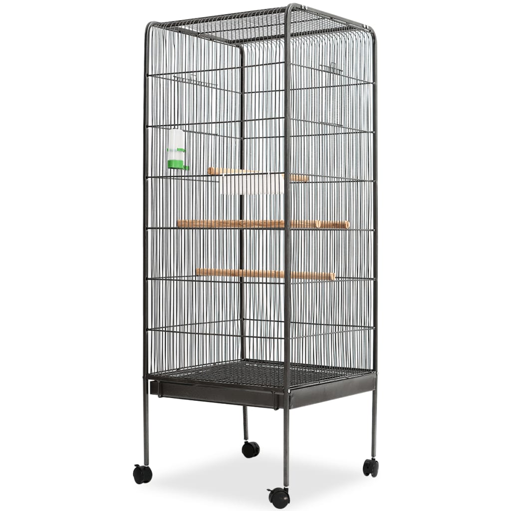   Birdcage 54x photo 1