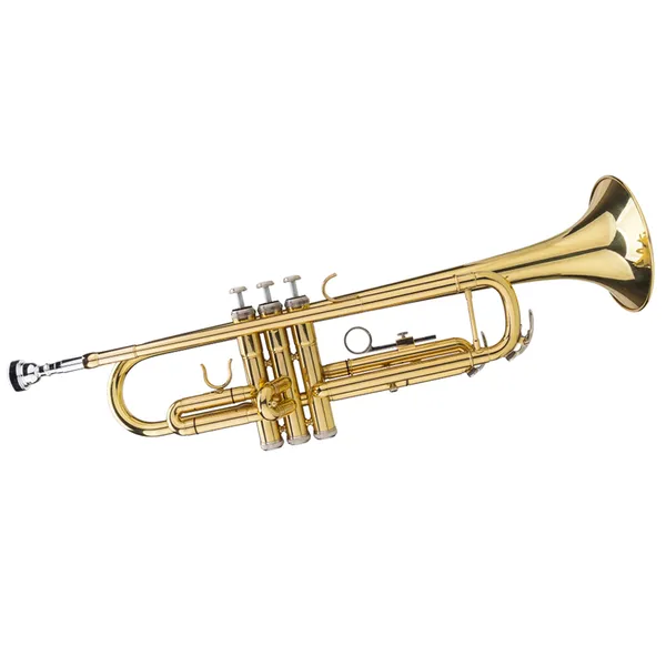 Drop B Tone Adjustable Trumpet Gloves Set Plaint Golden photo 3