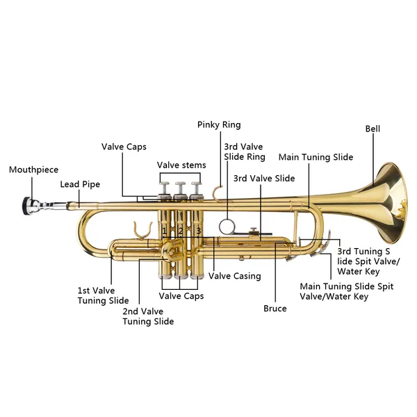 Drop B Tone Adjustable Trumpet Gloves Set Plaint Golden photo 5