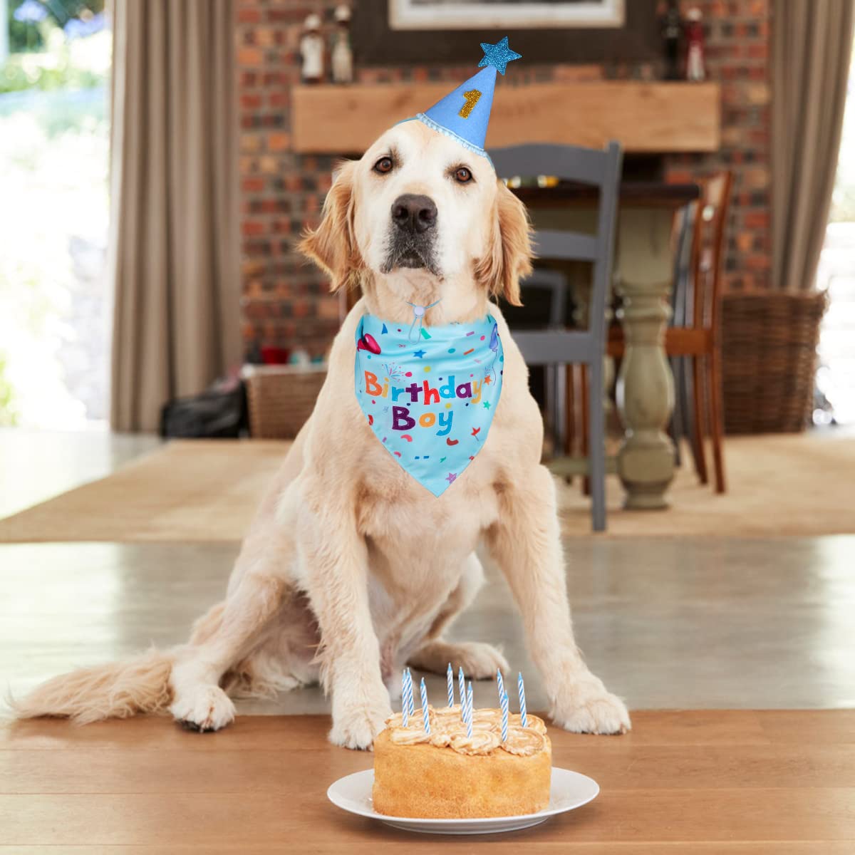 Dog Birthday Party Supplies,Dog Birthday Bandana,Dog Birthday Hat  Dog Birthday Decorations,Dog Boy Girl Birthday Party Hat With Numbers For Large Medium Small Dogs Pet,Soft,Breathable photo 3
