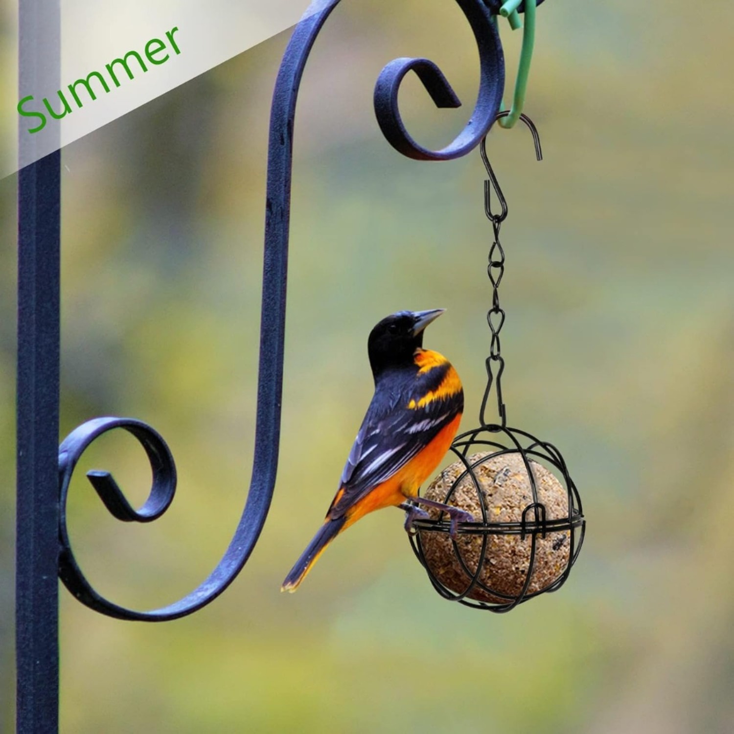 Set Of 4 Titmouse Suet Holder Bird Feeder Station For Hanging, Metal Bird Feeder With S-Shaped Hooks, Feeder For Wild Birds, Garden, Diameter 7 Cm, Black photo 4