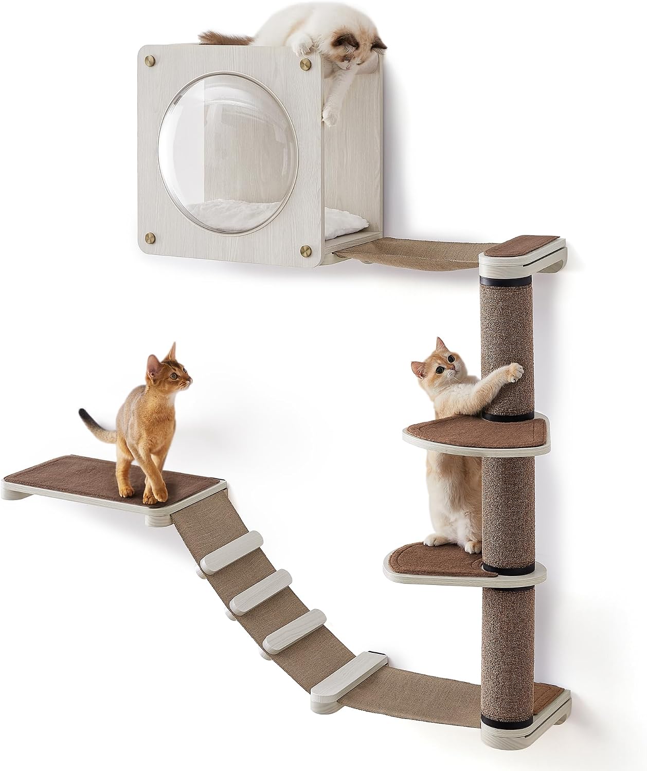 Set Of 5 Clickat Oasis Cat Climbing Wall, Cat Board, Hammock, Scratching Column, Interchangeable Washable Parts, Brown Oatmeal And Coffee photo 1