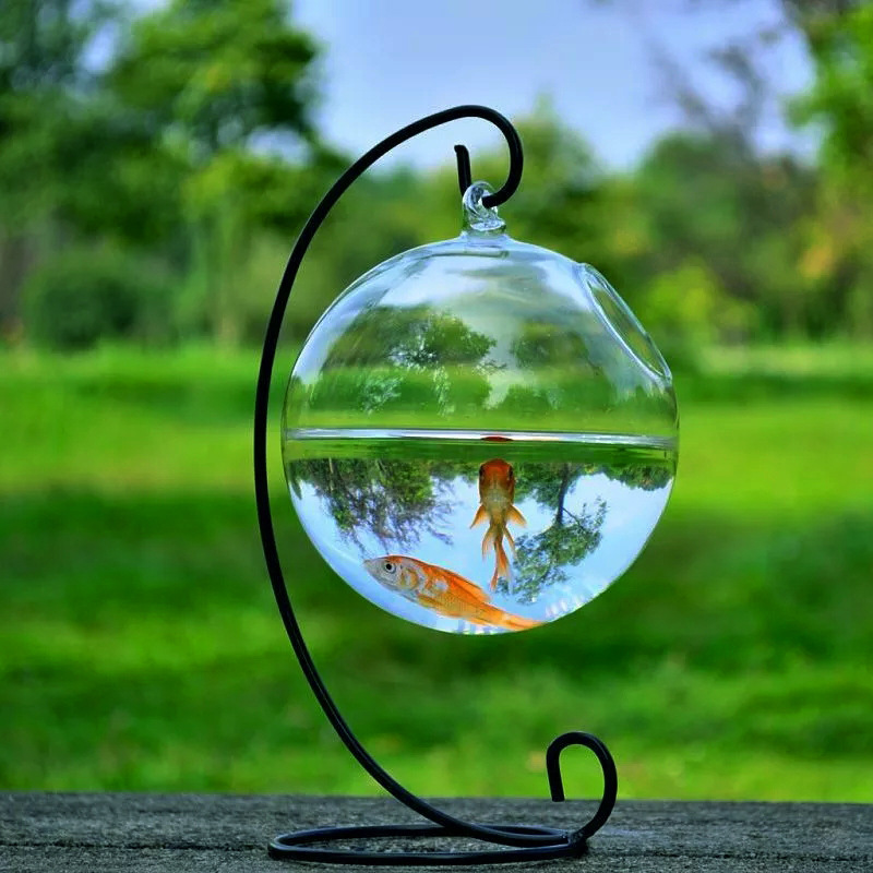 Hanging Glass Vase Fish Tank photo 3