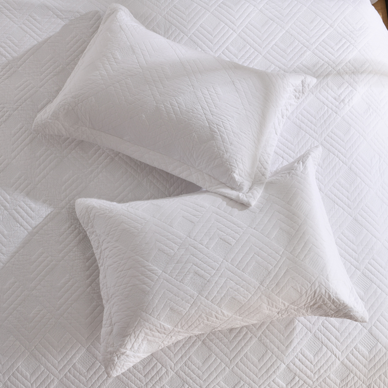 2 Pack  Cotton Filled Quilted Pillow Shams 50x70cm 27x19in Palm Leaf  Vintage Patchwork Floral 3D Dimensional Embroidery Envelope Closure Pillowcase Protector  Wide Edges No Pillow Core photo 3