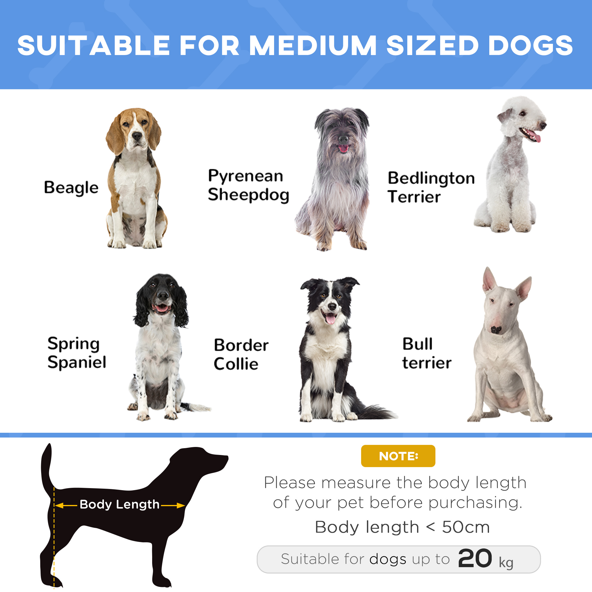 Elevated Dog Bed Raised Pet Cot With Sturdy Metal Frame And Breathable Oxford Fabric For Indoor Outdoor Travel photo 3