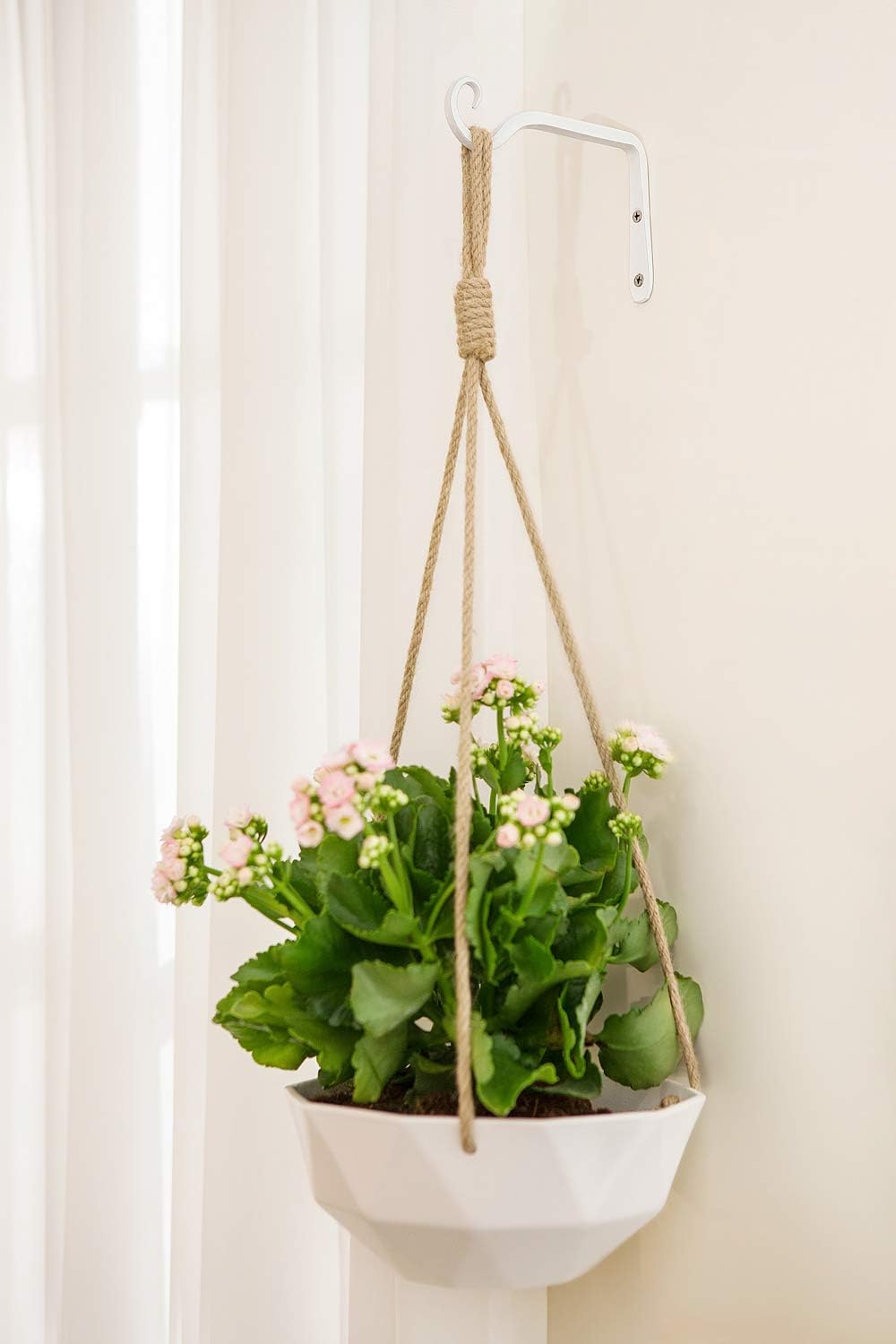 Wall Plant Hangers 2 Units, 6 Inch Hanging Plant Brackets Hooks For Indoor Outdoor Pots And Home Decor photo 4