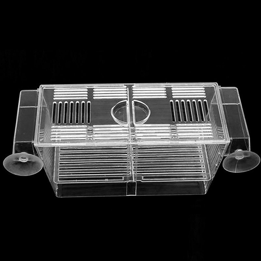 Acrylic Aquarium Fish Tank Incubation Box photo 4