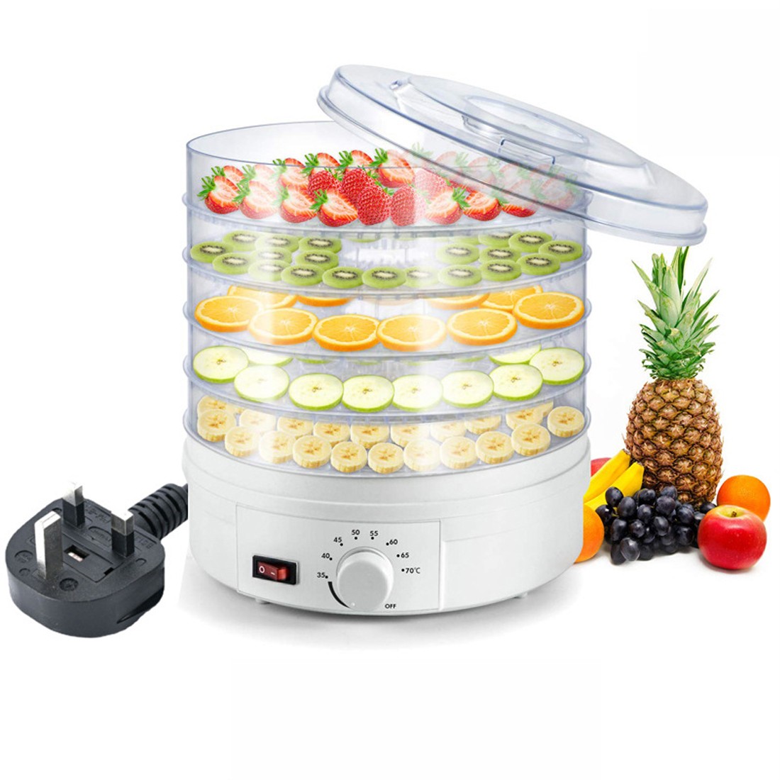 350W 5 Tray Electric Food Dehydrator Fruit Meat Beef Dryer Veg Preserver Machine photo 2