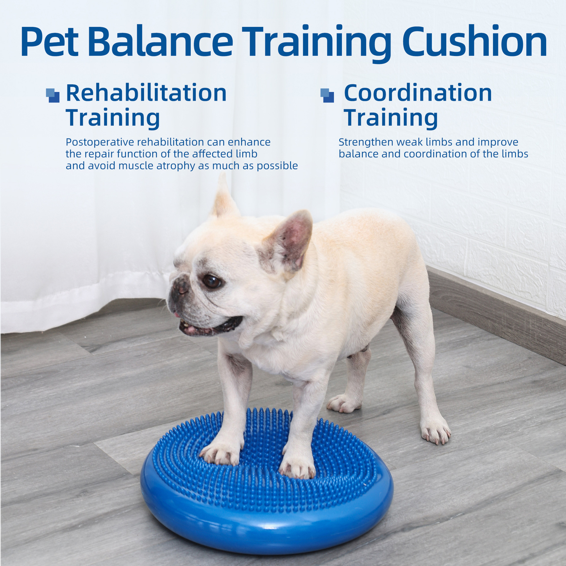 Thickened PVC Pet Balance Disc & Training Pad photo 7