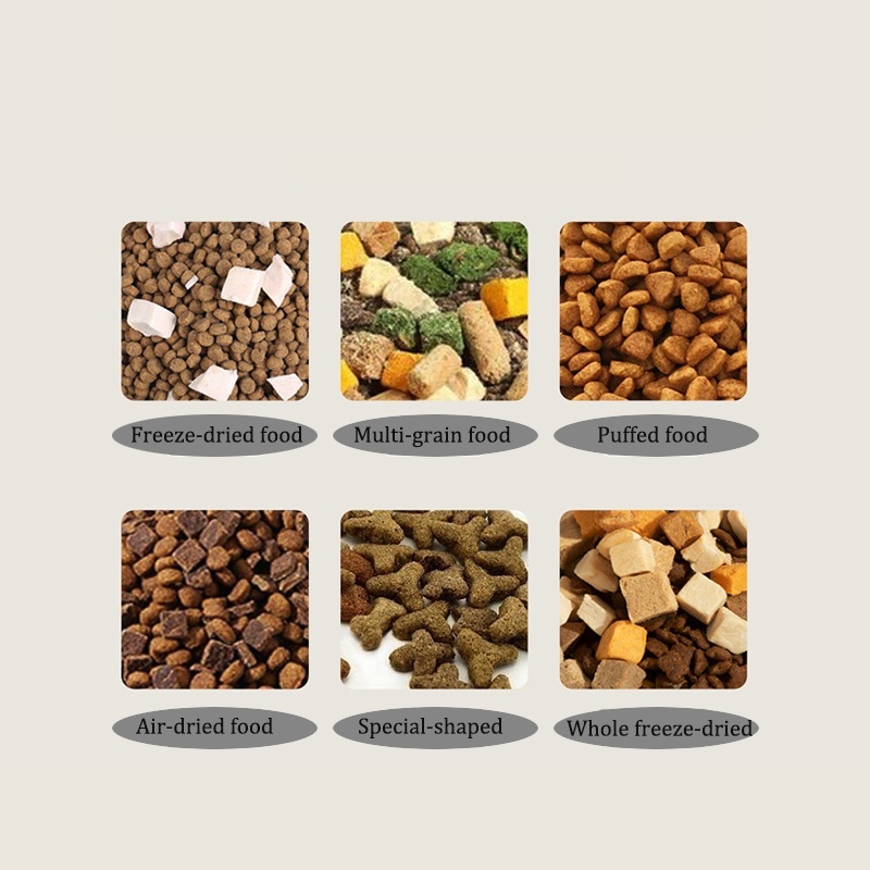 2 In 1 Automatic Cat Feeder Water Dispenser Dry Wet Pet Dog Puppy Food Dispenser photo 2