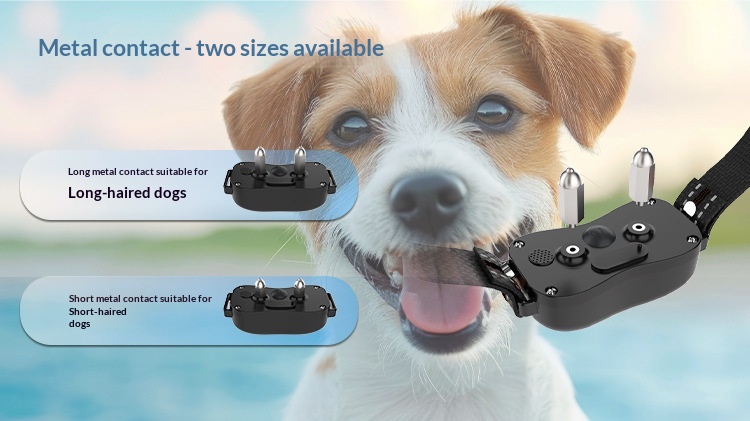 Remote 2-in-1 Pet Dog Training Device. photo 5