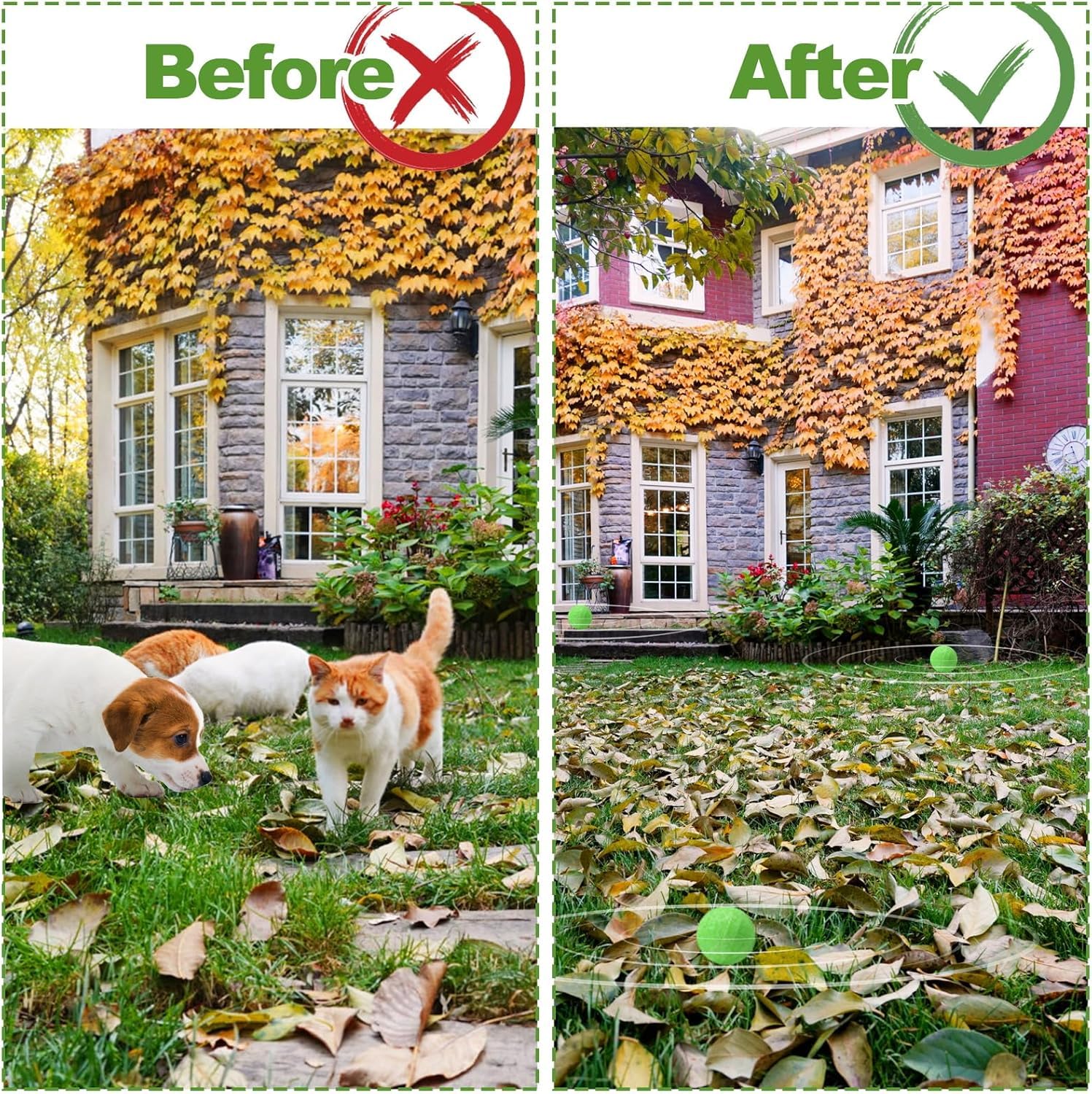 12 Pack Cat Repellent Outdoor, Natural Peppermint Oil Cat Deterrent Outdoor And Indoor, Keep Cats Out Of Yard Permanently, Protect Your Yard And Furniture photo 3