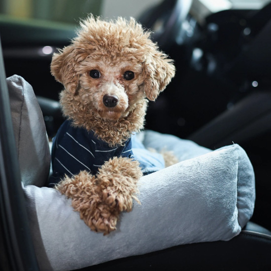 Dog Car Booster Seat Soft Plush Travel Bed Washable Pet Car Seat Safety Strap photo 4