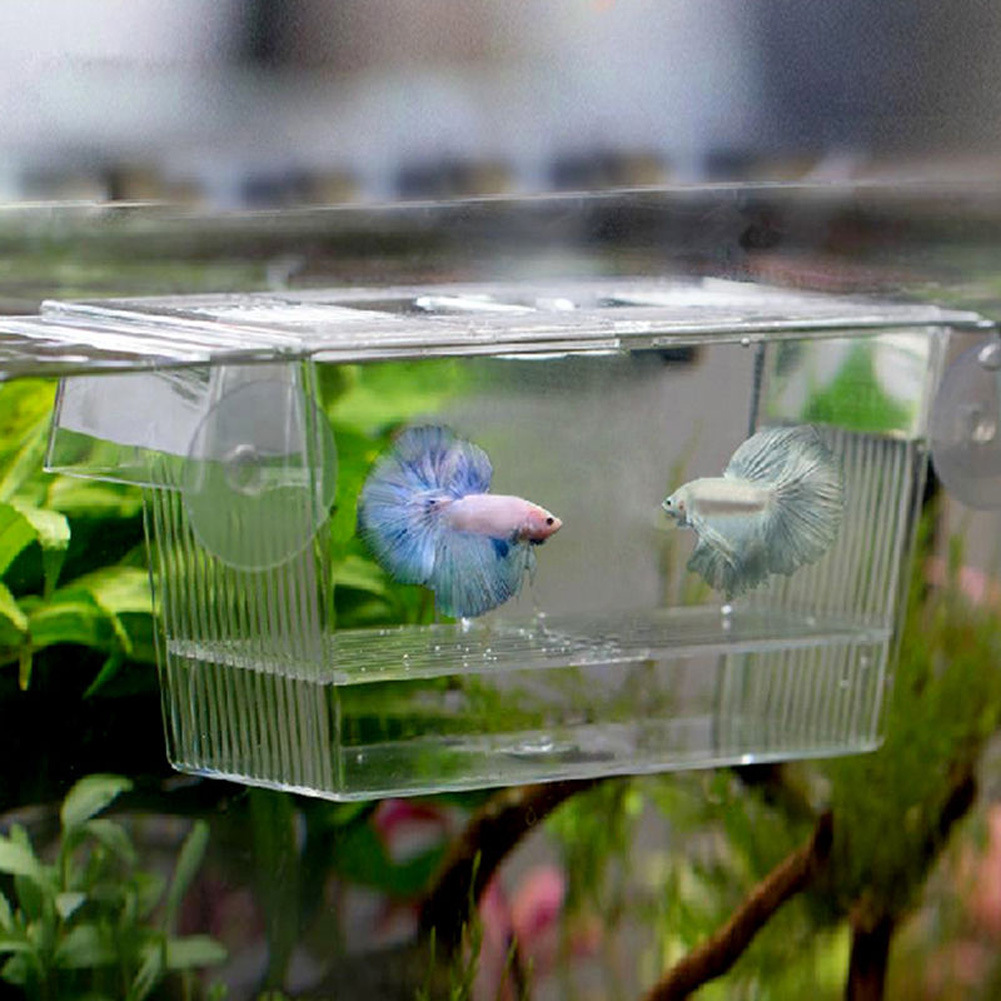 Acrylic Aquarium Fish Tank Incubation Box photo 1