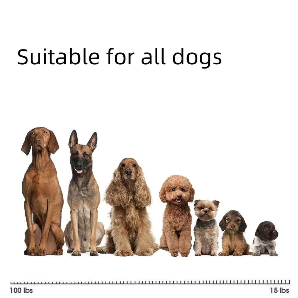 Dog Collar USB Rechargeable Trainer Electric Vibration Shock Beep Dog Training Collar Anti Barking Device Automatic Anti Bark photo 2