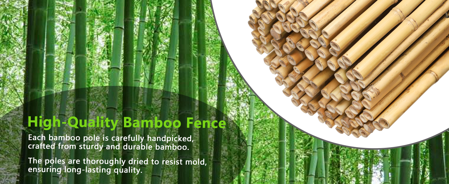 Natural Bamboo Fence Roll 6FT X 8FT , Outside Bamboo Privacy Fencing, Natural Privacy Screen Panels For Garden, Outdoor photo 7