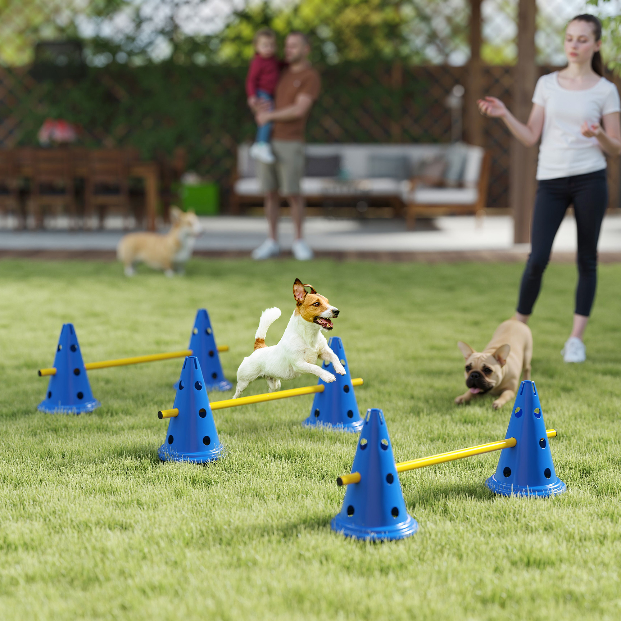 Dog Agility Equipment Set Of Six Cones, Six Poles With Carry Bag, Three-Piece Adjustable Height Jumping Obstacles, Blue photo 4