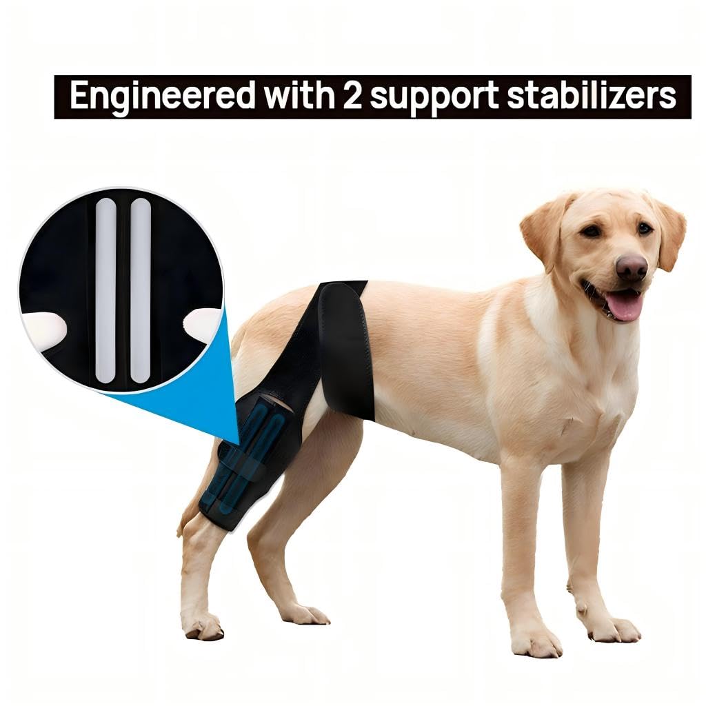 Dog Knee Brace For Torn ACL Hind Leg, Comfortable And Adjustable Support Brace With Two Stabilizer, Dog Leg Braces For Back Leg With Extra Support, Arthritis Relief And Surgery Recovery photo 4