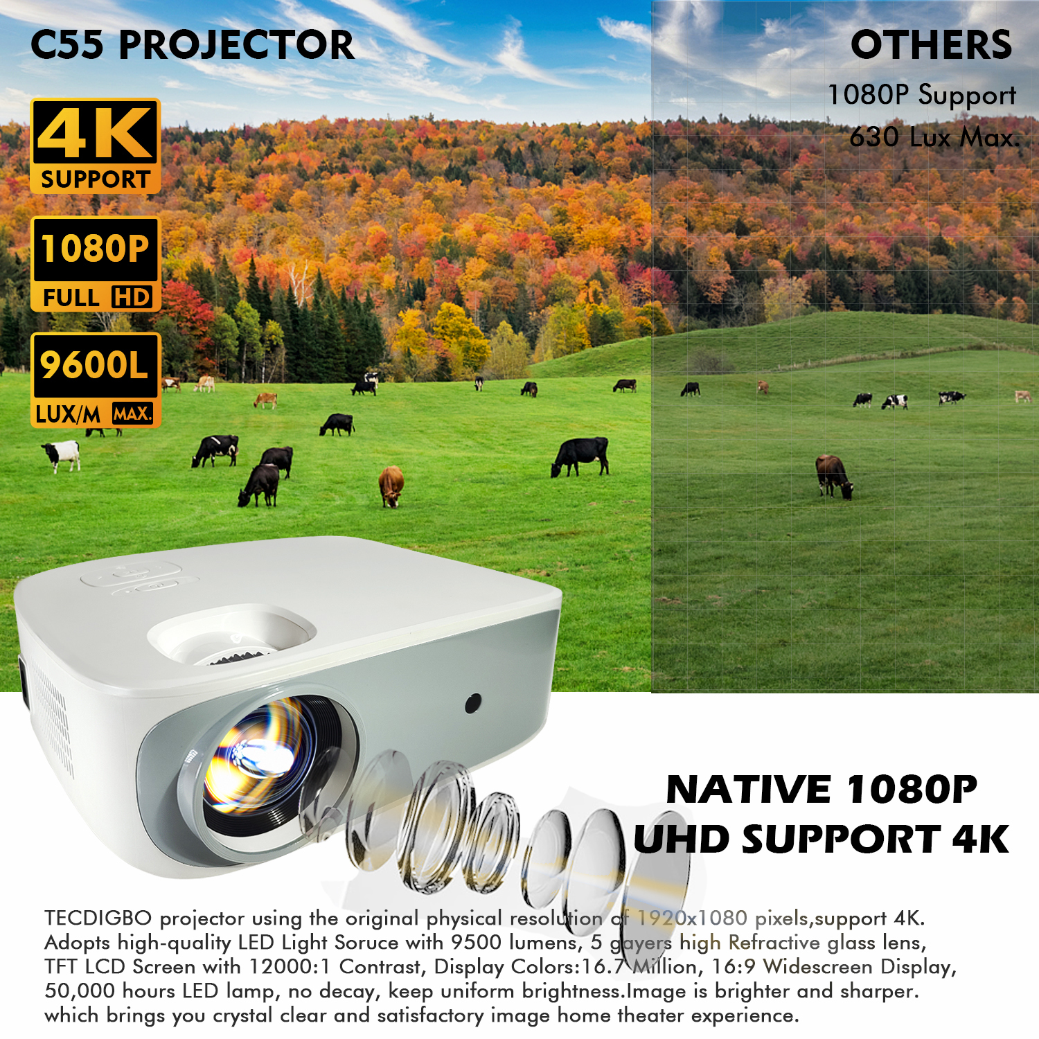 Native 1080P Projector 4K Support 9500 Lumens 5G WiFi Bluetooth 5.0 Movie Projector 400 Inch Display photo 2