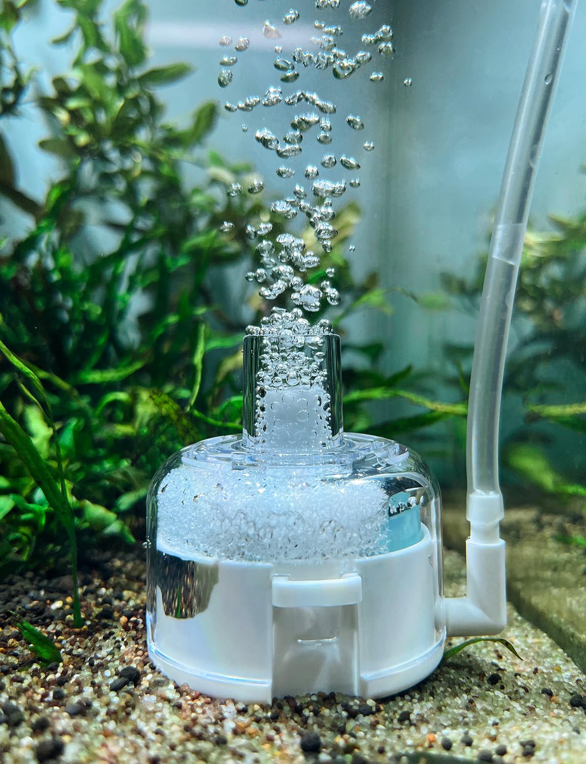 Mini Aquarium Sponge Filter, Small Fish Tank Filter Submersible Fish Filter Built-in Air Bubble Stone And Bio Balls For Fish Tanks Up To 5 Gallon - Air Pump Not Included photo 2