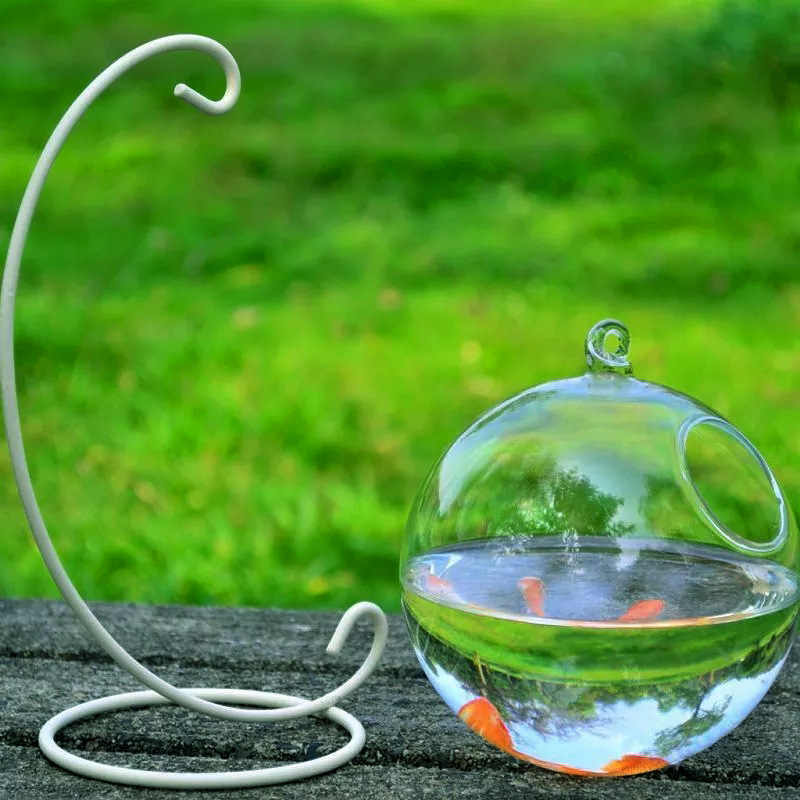 Hanging Glass Vase Fish Tank photo 4