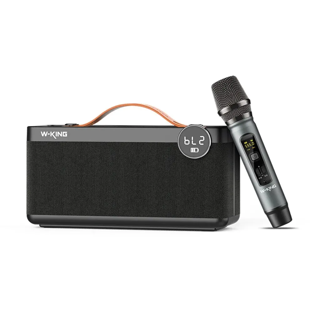 Handheld Portable Mini Card-Insert Karaoke Speaker photo 1
