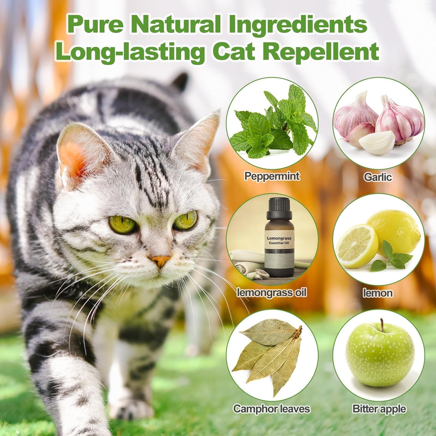 12 Pack Cat Repellent Outdoor, Natural Peppermint Oil Cat Deterrent Outdoor And Indoor, Keep Cats Out Of Yard Permanently, Protect Your Yard And Furniture photo 4