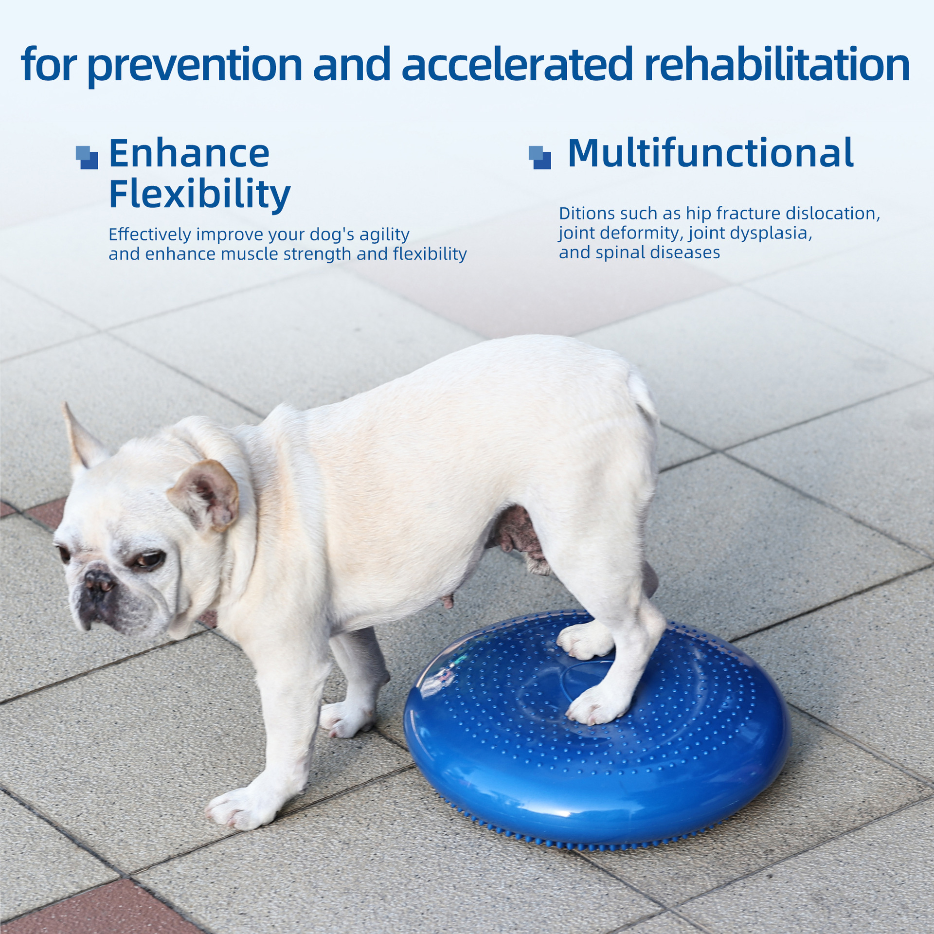 Thickened PVC Pet Balance Disc & Training Pad photo 3