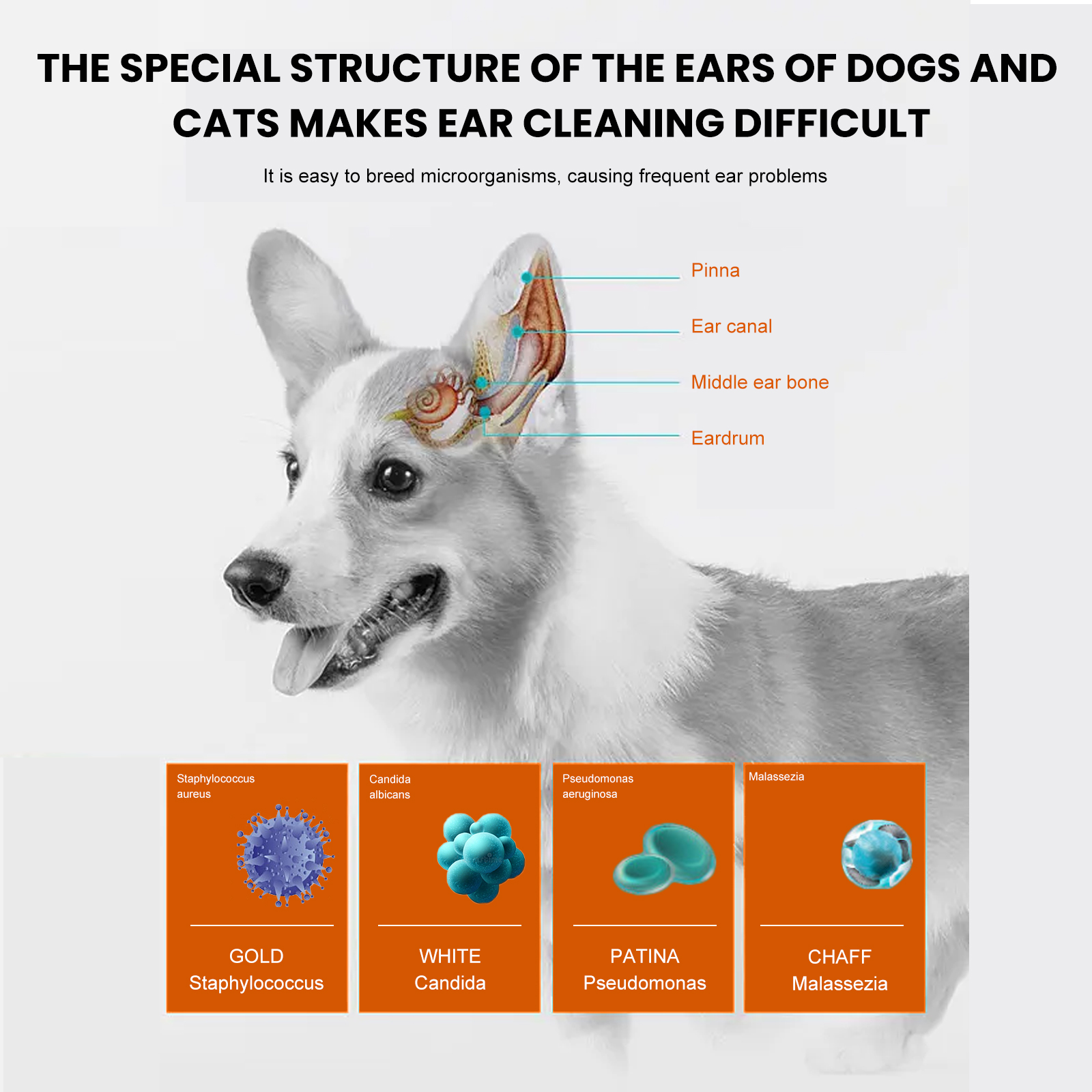Yegbong Pet Ear Wipes, Pet Ear Cleaning Deodorizing Removing Mite And Earwax Cleaning Wipes photo 7