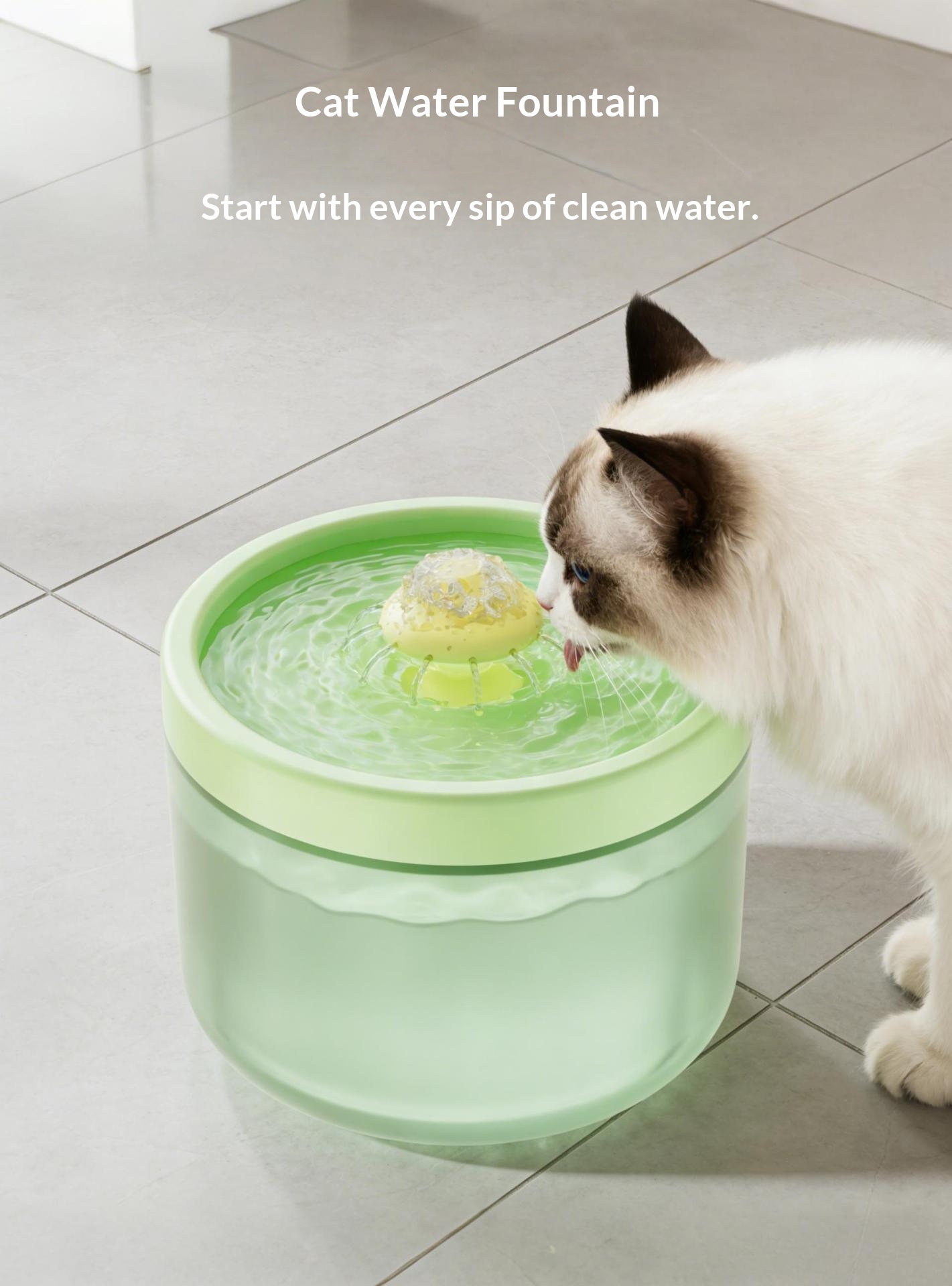Automatic Filtering Circulating Pet Water Fountain photo 7