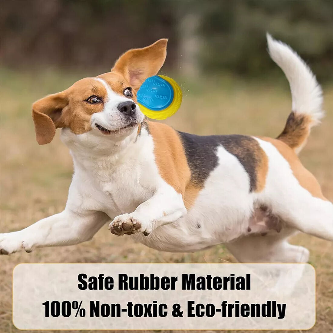 NEW Scooby-Doo Durable Squeaky Set Of 8 Dog Balls For Teeth Cleaning Interactive UK photo 3