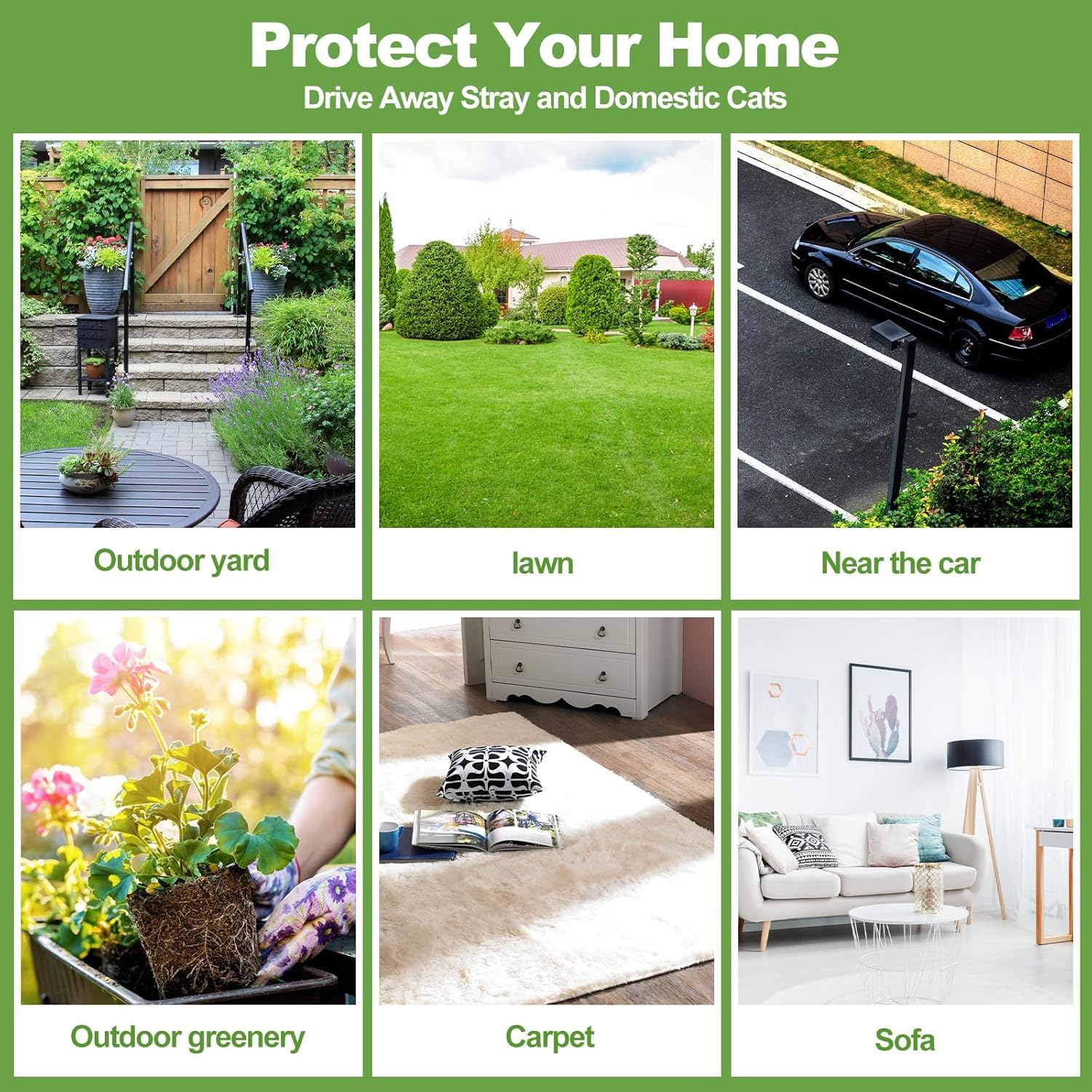 12 Pack Cat Repellent Outdoor, Natural Peppermint Oil Cat Deterrent Outdoor And Indoor, Keep Cats Out Of Yard Permanently, Protect Your Yard And Furniture photo 2