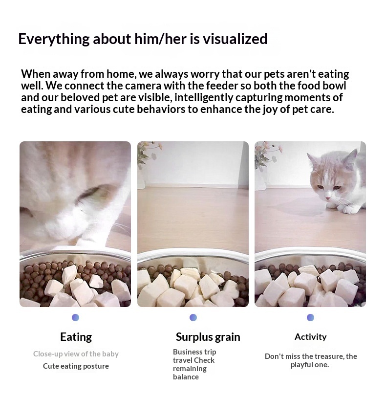 Automatic Dog Feeder photo 4