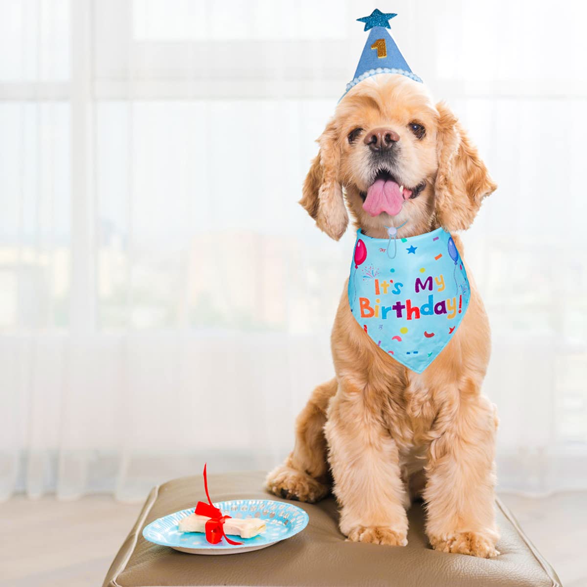 Dog Birthday Party Supplies,Dog Birthday Bandana,Dog Birthday Hat  Dog Birthday Decorations,Dog Boy Girl Birthday Party Hat With Numbers For Large Medium Small Dogs Pet,Soft,Breathable photo 6