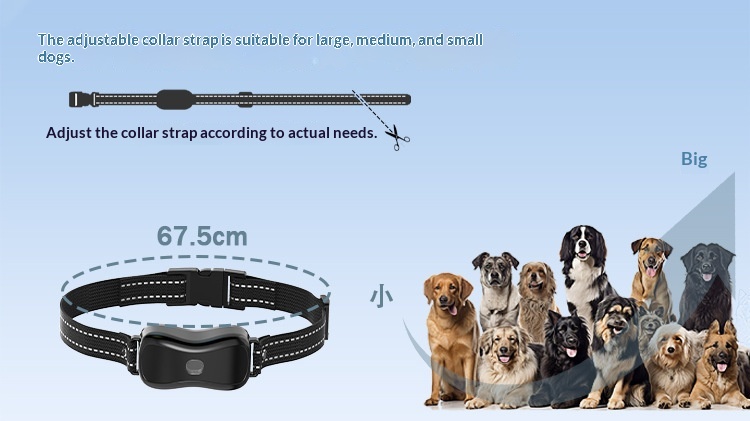 Remote 2-in-1 Pet Dog Training Device. photo 7