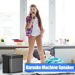 Wireless Bluetooth Karaoke Home Echo System Singing Machine Dual Mic Speaker AU photo 2