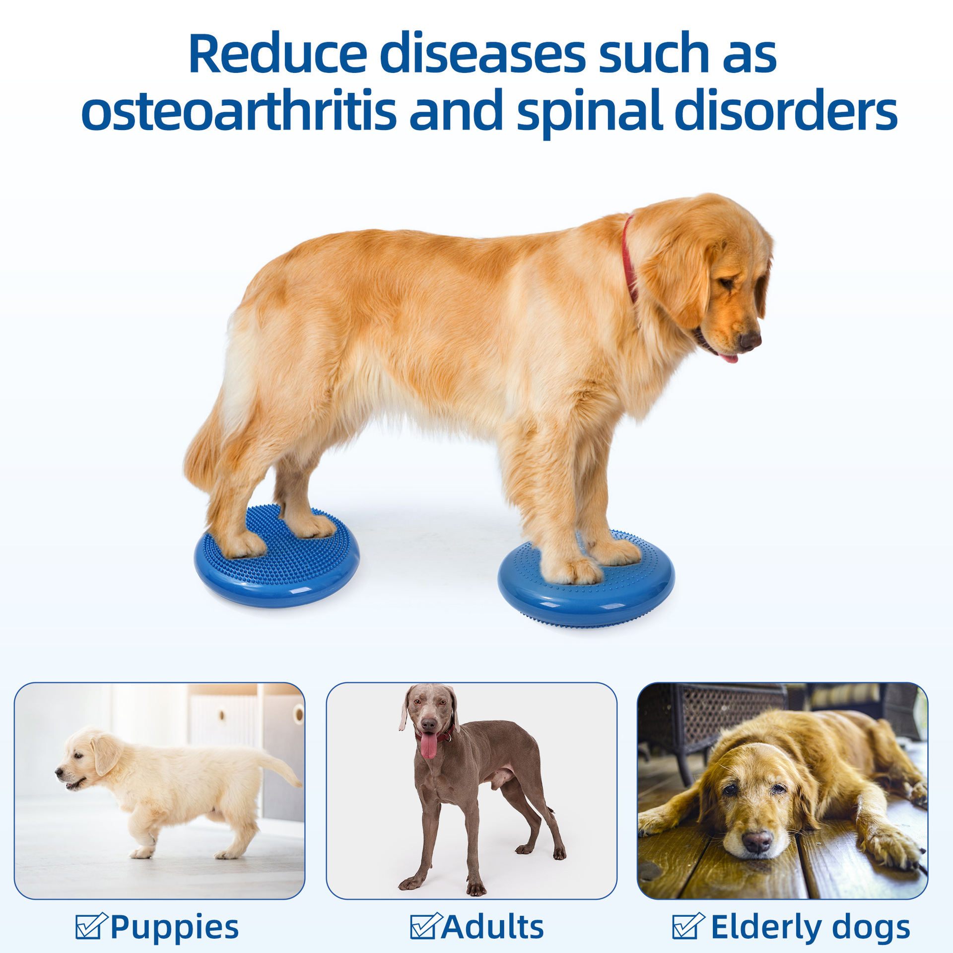 Thickened PVC Pet Balance Disc & Training Pad photo 5