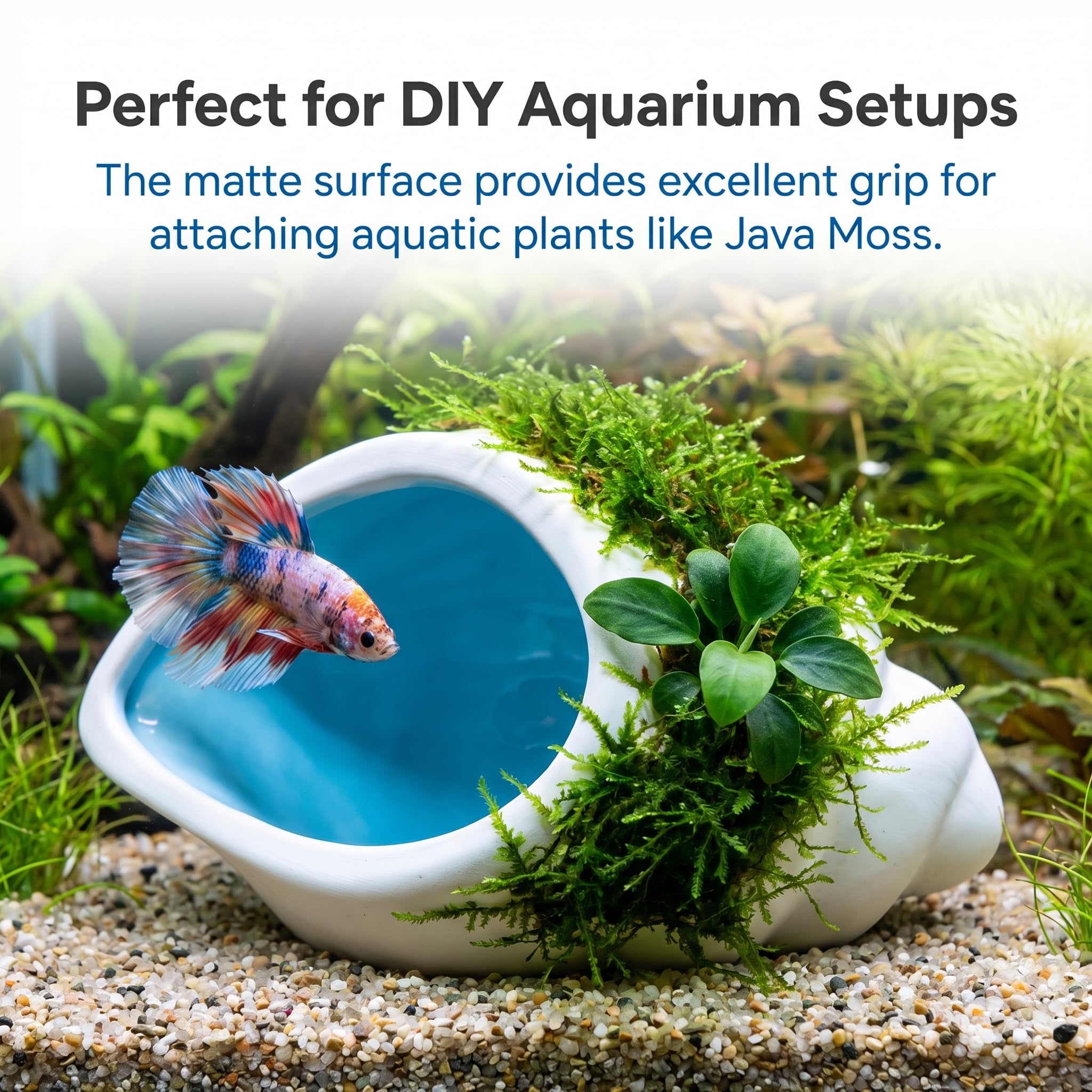 Ceramic Aquarium Cave For Betta Fish Tank Decor, White Conch Shell Hideout, Smooth Glaze Fish Tank Accessories & Decorations For Betta Fish, Shrimp, Pleco photo 3
