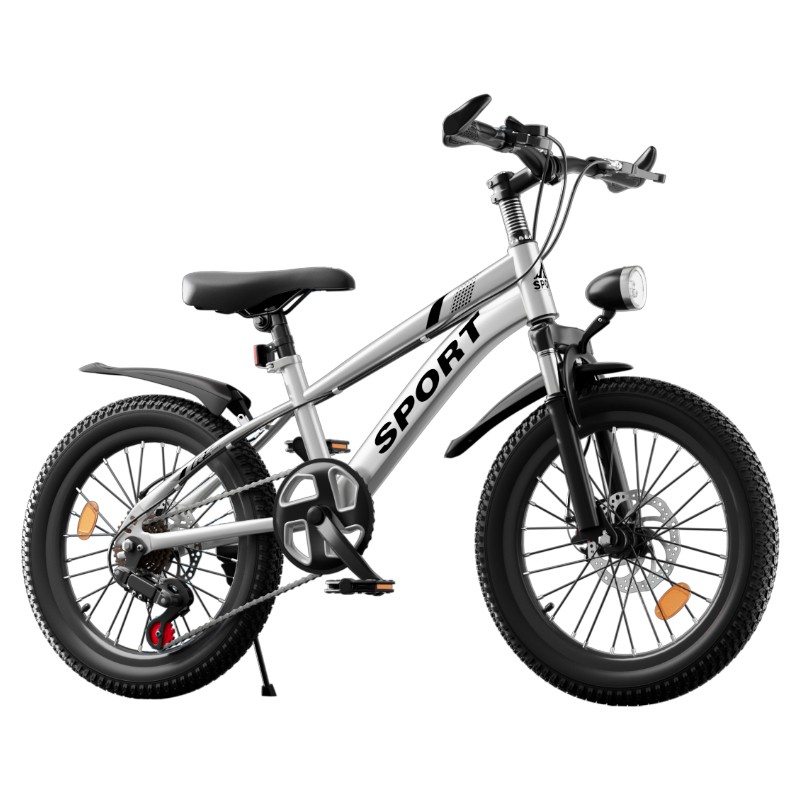 20 Inch Wheels Kids Bike 7-Speed Gears Boy Silver Bicycle Cycling Outdoor Disc Brake photo 1
