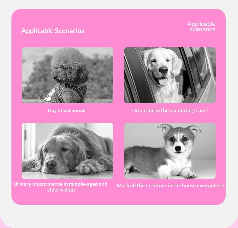 Male & Female Dog Diapers With Wetness Indicator. photo 8