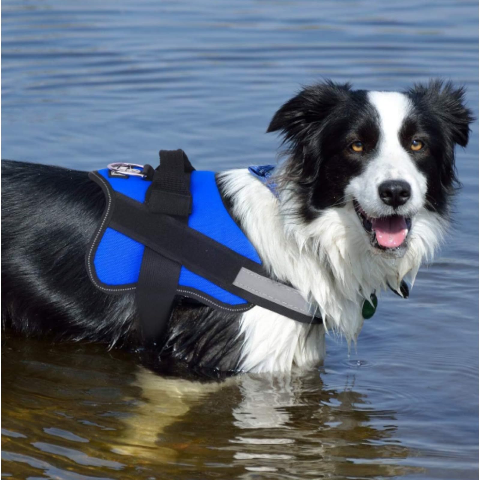 Dogshood Harness, Dogshood No Pull Harness, Breathable Reflective Vest With Handle, No MoreTugging Or Choking photo 8