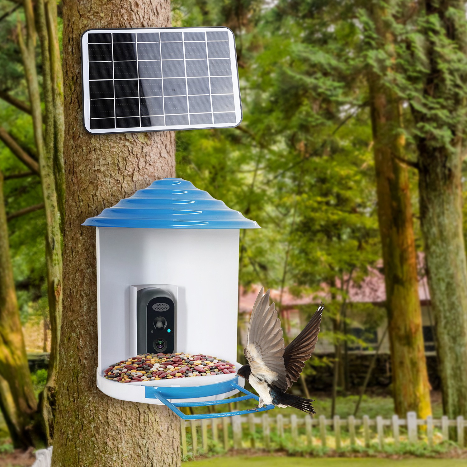 Smart Bird Feeder With Solar Powered Camera 1080P HD AI Identify PIR Motion Auto Capture Video Cloud Card Storage WiFi Connection App Control IP65 Waterproof photo 6