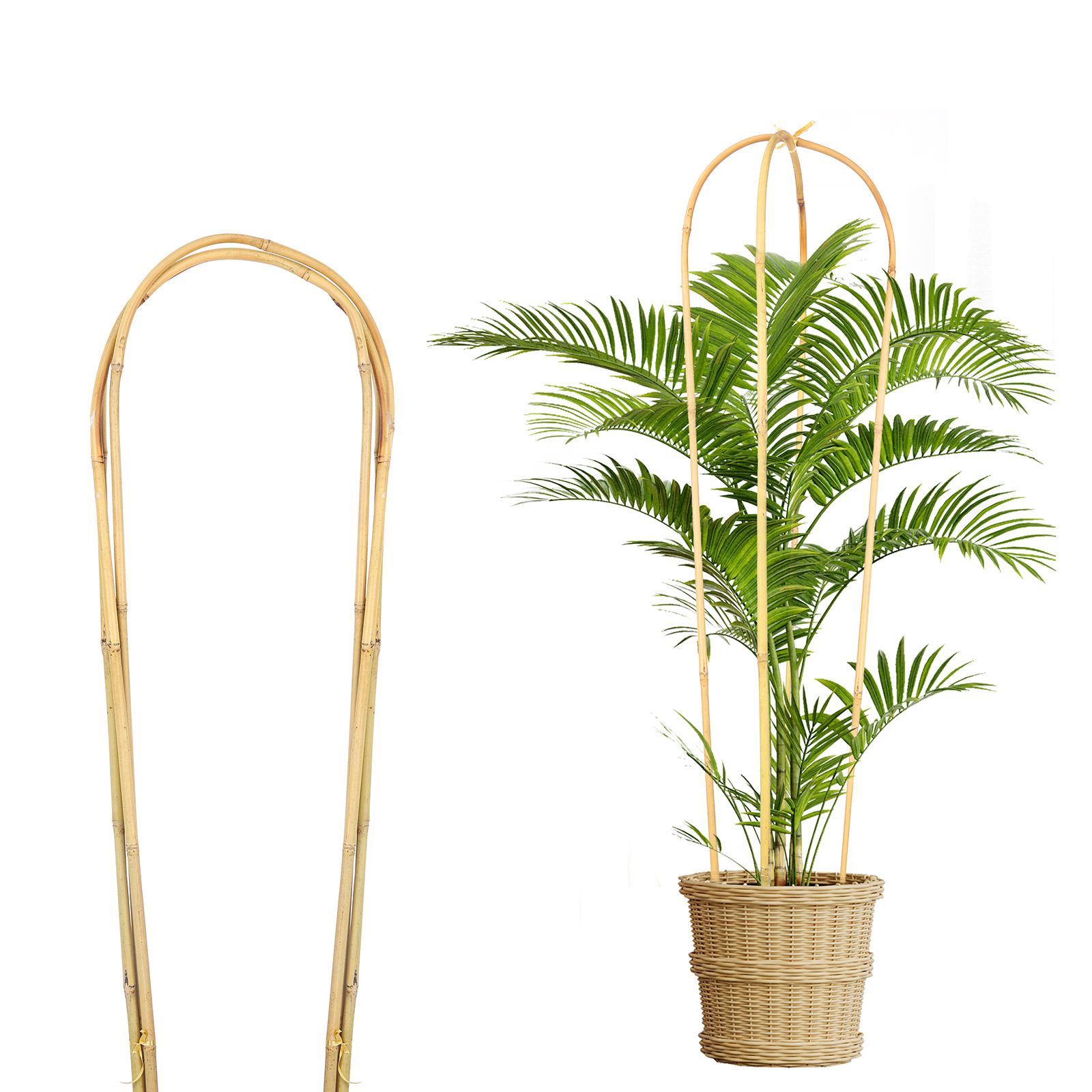 3FT 3pcs Natural U-Hoops Bamboo Trellis U-Shaped Garden Trellis For Climbing Plants, Vines, Ivy, Flowers, And Potted Plants Self-pickup Only photo 3