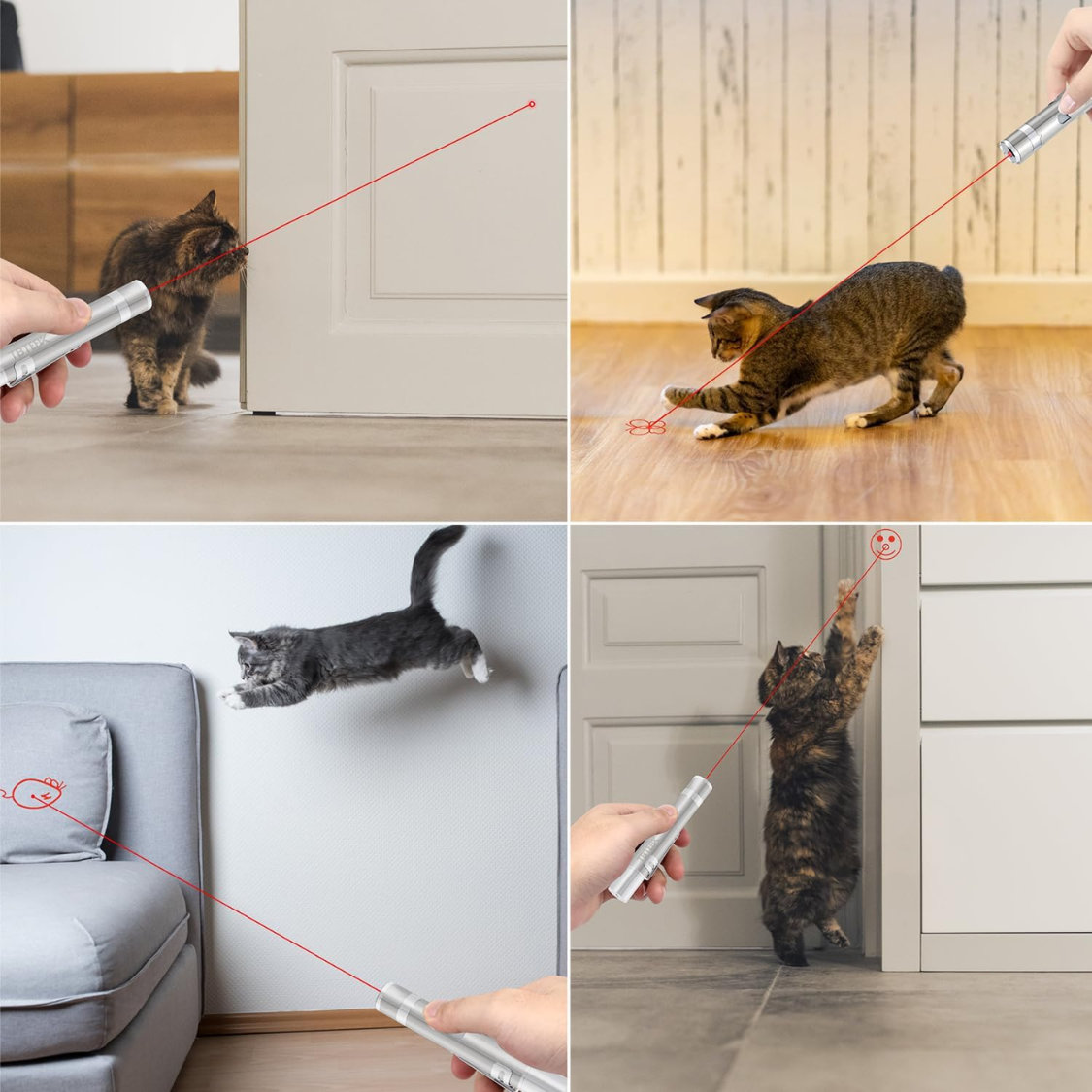 LIGHT FOR PETS photo 5