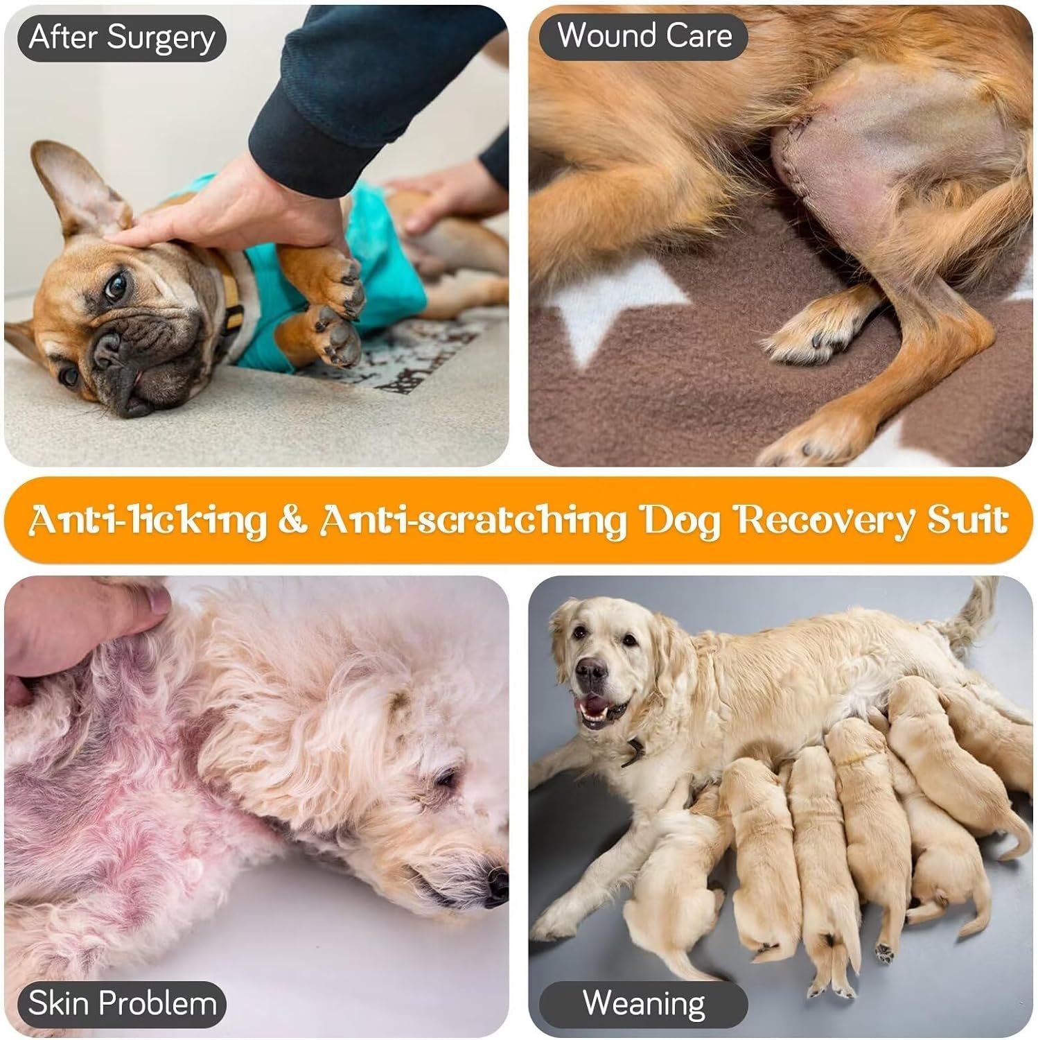 Dog Recovery Suit For Neuter Spay,Anti-Licking Dog Surgical Bodysuit  Soft Dog Recovery Onesie Protects Abdominal Wounds, Easy To Wear, Easy Potty Breaks, E-Collar Cone photo 3